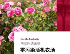 澳洲高端美妝品牌Jurlique茱莉蔻，成功入駐圣悅詩(shī)國(guó)際連鎖系統(tǒng)